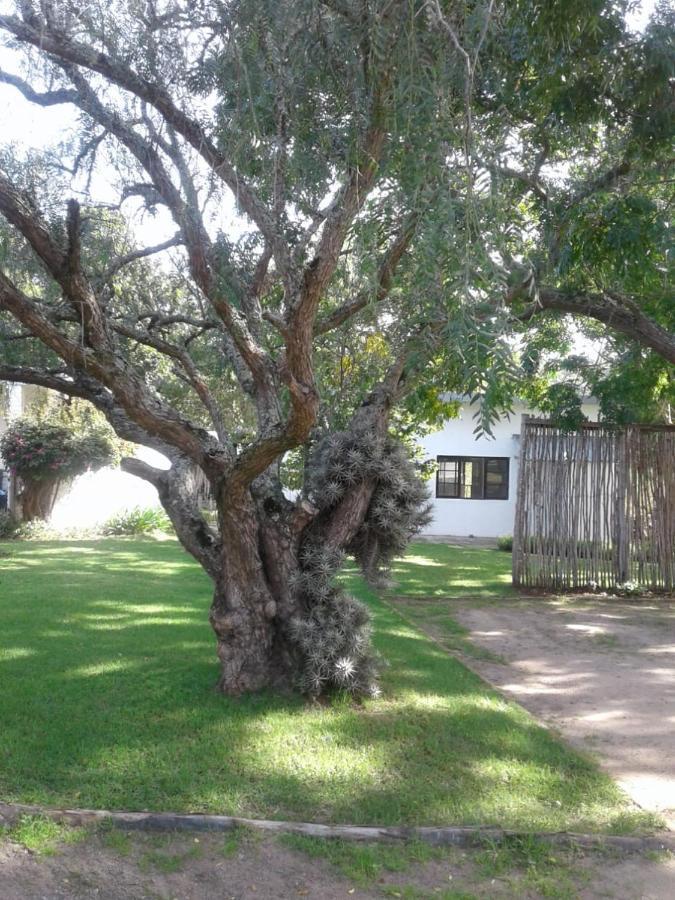 Appartamento Woodpecker Plettenberg Bay Esterno foto